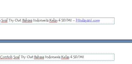 Contoh Soal Try Out Bahasa Indonesia Kelas 4 SD MI