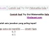 Contoh Soal Try Out Matematika Kelas 4 SD MI