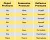Bentuk-bentuk Pronouns dan Penggunaannya