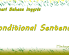Conditional Sentences