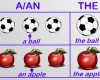 Jenis article kata sandang a an the dan penggunaannya dalam bahasa Inggris