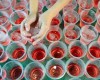 Kiat Mengatur Keuangan Saat Ramadhan