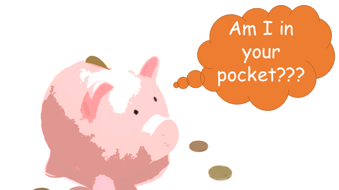 A Pig in your pocket Picture