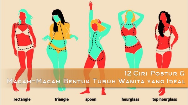 Bentuk Tubuh Wanita yang Ideal