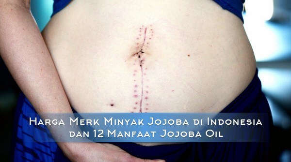 5 Harga Merk Minyak Jojoba di Indonesia & 12 Manfaat Jojoba Oil