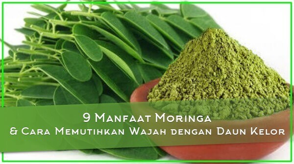 Cara Memutihkan Wajah dengan Daun Kelor Manfaat Moringa